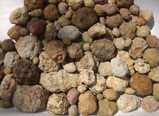 Break Your Own Geodes Bulk Lot 6 LBS Hollow Unopened Rattlers Natural KY Quartz picture