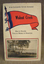 1914 It is Certainly Great Around Walnut Creek Ohio Pennant Flag Postcard - Rare picture