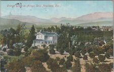 Postcard Orange Grove Arroyo Seco Pasadena CA 1908 picture