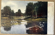 Springfield Illinois Lily Ponds Reservoir Park Antique Postcard c1910 picture