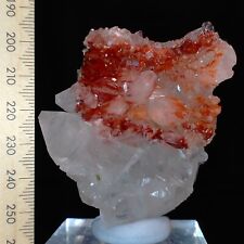 White and Red Apophyllite w/ Stilbite crystal combination 558ct Australian Stock picture