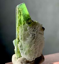 13 Carat tourmaline crystal Specimen from Afghanistan picture