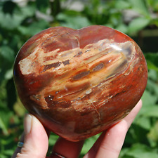 XL 1.2lb 3.8in Petrified Wood Crystal Heart Shaped Palm Stone, Madagascar picture