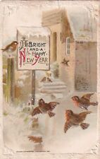 1911 John Winsch New Year's January 1st Song Birds Embossed Vinita Postcard D47 picture