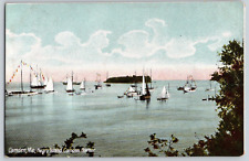 UDB Postcard~ Negro Island~ Camden Harbor~ Group Of Sailboats~ Camden, Maine picture