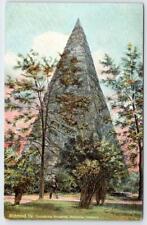 1910's RICHMOND VIRGINIA VA CONFEDERATE MONUMENT HOLLYWOOD CEMETERY POSTCARD picture