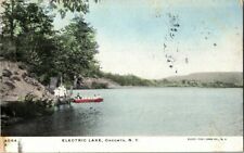 1906. ELECTRIC LAKE. ONEONTA, NY. POSTCARD YD14 picture