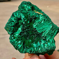 269G Natural glossy Malachite transparent cluster rough mineral sample picture