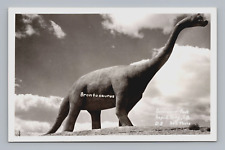 Postcard RPPC Dinosaur Park Rapid City South Dakota Brontosaurus Unposted picture