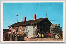 Postcard Cape Cod Massachusetts Typical Lobster Shack picture