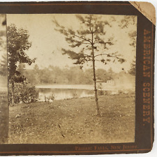 Passaic Falls New Jersey Stereoview c1880 River Nature Landscape Photo Card E563 picture