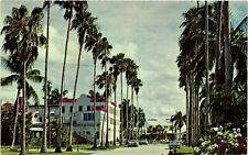 VTG Postcard- Washingtonian Palms line,  Everglades City. Unused 1960 picture