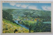 Cooksburg, PA Cook Forest State Park view from Fire Tower Linen Postcard c49 picture
