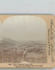 Mourning Decorations President McKinley Buffalo New York NY Stereoview picture