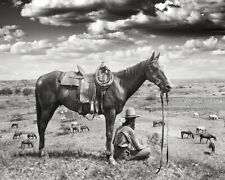 Vintage Texas Cowboy Photo - 1910 Horse Wrangler Black and White Photograph Art picture