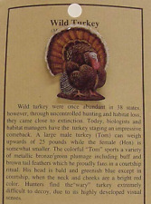 NEW WILD TOM TURKEY BIRD HAT PIN LAPEL PINS picture