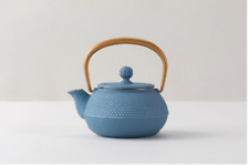 IWACHU Tea pot Cast Iron 320ml ARALE Silver Sky Blue Twill Gold 44301 picture