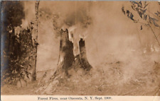 Oneonta NY Forest fires 1908 disaster Rppc postcard a43 picture