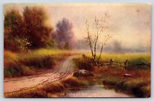 The Turn of the Road Vintage Postcard picture