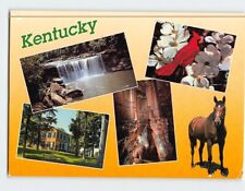 Postcard Greetings from Kentucky USA picture