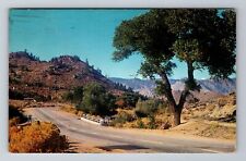 Bakersfield CA-California, Cane Brake Creek, Antique, Vintage c1959 Postcard picture