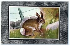 c1910's Gray Rabbit Or Cottontail Harvey Animals Unposted Antique Postcard picture
