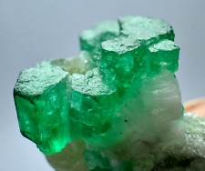 30 Carat Full Terminated Top Green Swat Emerald Crystals Bunch On Matrix @Pak picture