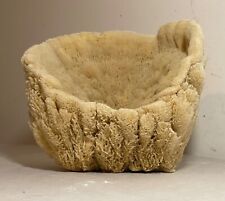 LARGE real natural saltwater sea sponge centerpiece bowl specimen fish tank picture