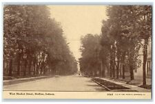 c1905 West Market Street lined Trees Horse Carriage Bluffton Indiana IN Postcard picture