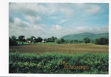 Vintage Postcard Continental Sheffield & Egremont Massachusetts in the Berkshire picture