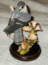Country Artists Peregrine Falcon #02509 Broadway Birds 4