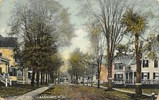 Claremont New Hampshire~Leaves Line Residential Street~Victorian Homes~1913 PC picture