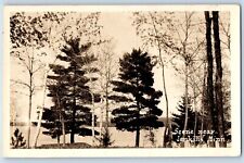 Minnesota MN Postcard RPPC Photo Scene Near Jenkins Lake View c1910's Antique picture