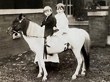 1910s RPPC - TWO BOYS RIDING PONY antique real photograph postcard HORSES picture