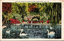 Postcard Birmingham AL Avondale park Swans on the Lake vintage postcard picture