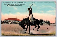 Old Steamboat Bucking Bronco Rodeo Cheyenne Wyoming Frontier Days 1911 Postcard picture