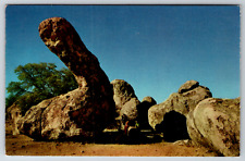 c1960s Dinosaur Rock City Silver City New Mexico Vintage Postcard picture