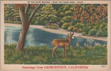 Greetings from Georgetown California deer 