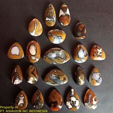 Wholesale 20 pcs WPICG00001 (531ct) Mixed Picture Agate ~100% Natural Untreated picture