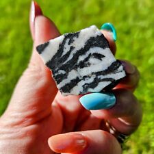 Zebra Calcite Layered Banded Stone Crystal Natural Raw Black And White ~1.5 In picture
