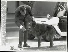 1970 Press Photo President Nixon with his dog, King Tim A Hoe in San Clemente picture