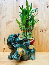 Jumbo Ceramic Lucky Bamboo Elephant picture