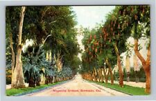Riverside CA-California, Scenic Tree Lined Magnolia Avenue Vintage Postcard picture