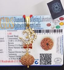 11 Mukhi Rudraksha/Eleven Face Rudraksh Java Bead Size 14-16 mm Aum Om Certified picture