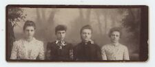 Antique Unique CDV Circa 1870s Four Beautiful Women Pennington Lewistown, IL picture