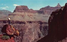 Grand Canyon AZ Arizona Fred Harvey Postcard Kaibab Trail Tonto Plateau Balanced picture