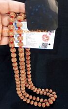 6 Mukhi Rudraksha / Six Face Rudraksh Mala - 109 beads Size 12 mm ~Lab Certified picture