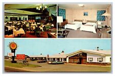 Dunkirk NY New York Vineyard Motel Quality Courts Unposted Chrome Postcard picture