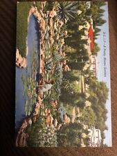 Vintage Linen Postcard A Pretty Miami Garden, Florida. Unposted c1940s picture