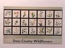 Wildflowers of Door County Wisconsin Postcard picture